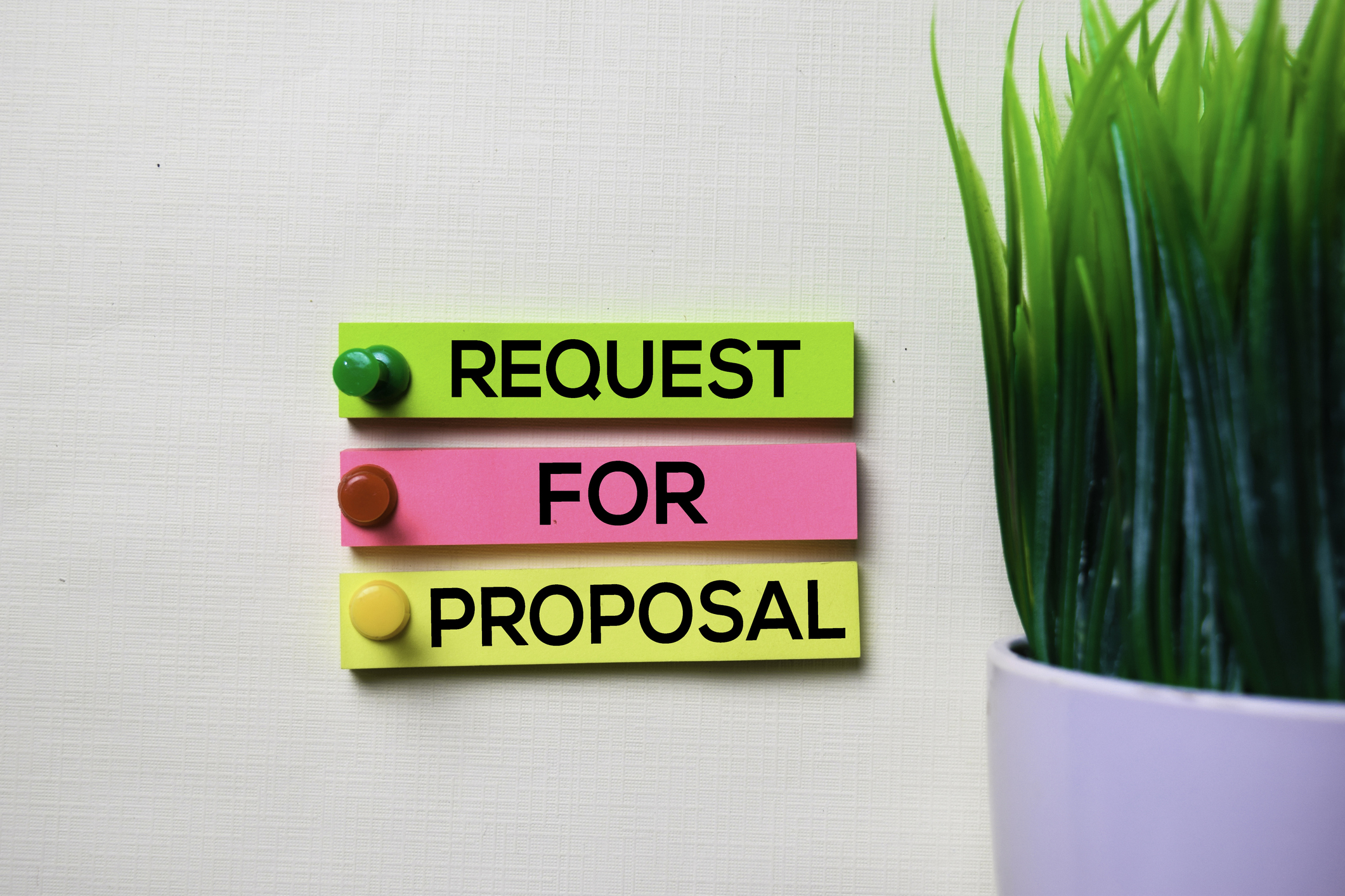 Graphic saying Request for Proposals with plant in background.