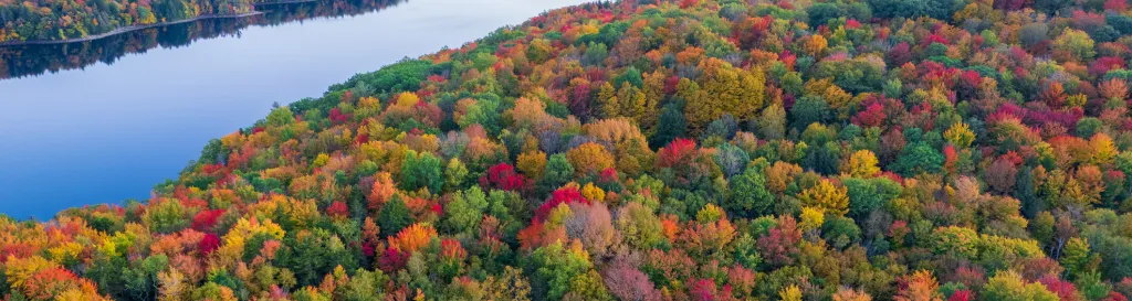 Photo of a lake and trees in autumn.